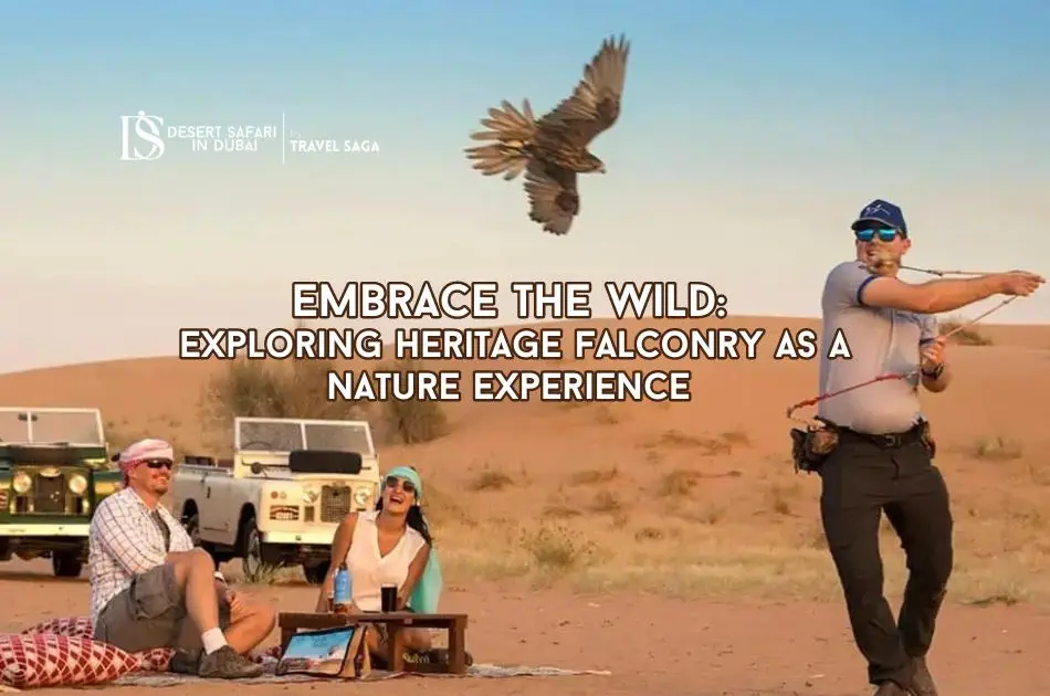 Embrace the Wild: Heritage Falconry as a Nature Experience