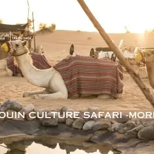 Bedouin Culture Safari | Book Your Bedouin Culture Experience