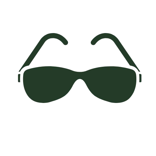 Goggles