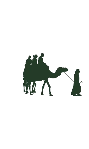 Camel riding