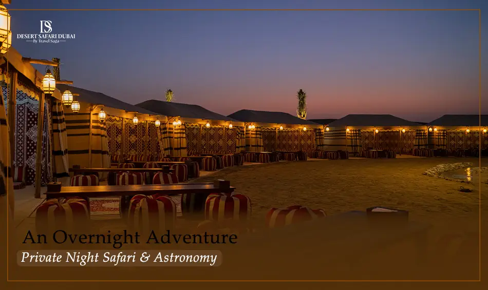 An Overnight Adventure: Private Night Safari & Astronomy 