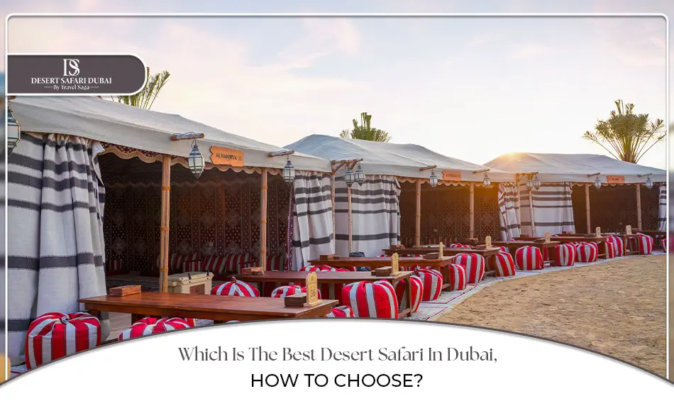 Which Is The Best Desert Safari In Dubai, How To Choose? 