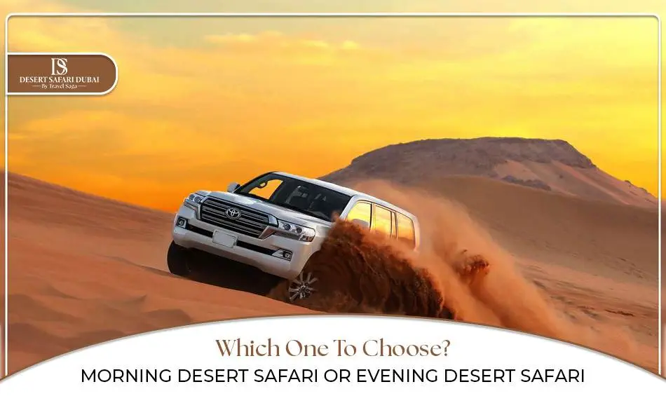 Which One To Choose? Morning Desert Safari Or Evening Desert Safari